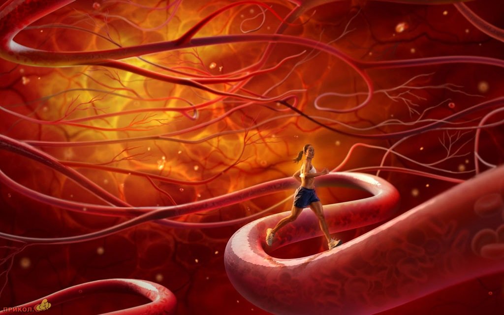 prikolniy-creativ-060409-31