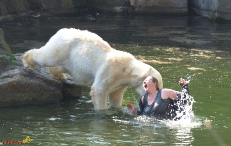 polar-bear-attacks-woman-01