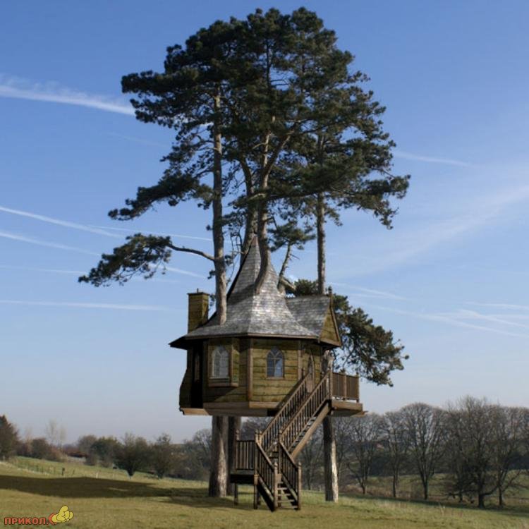 tree-house-01