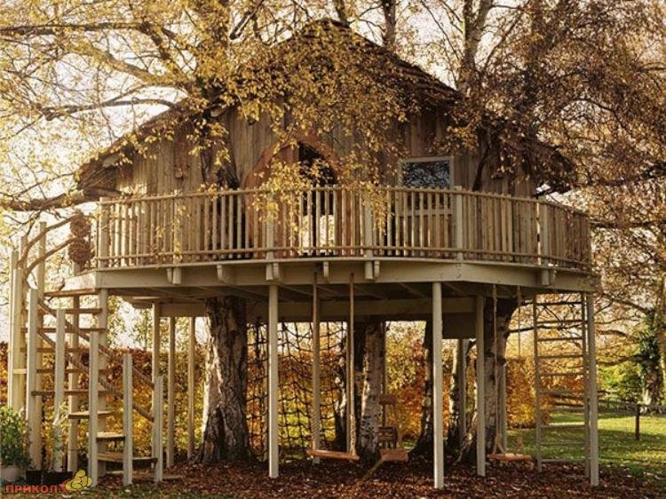 tree-house-02