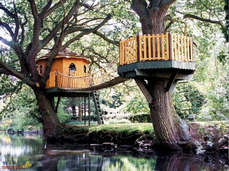 tree-house-06