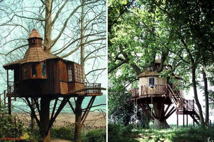 tree-house-08