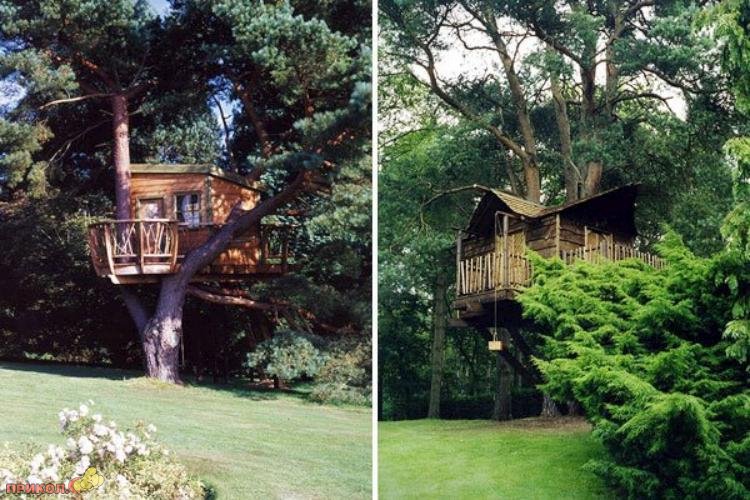 tree-house-10
