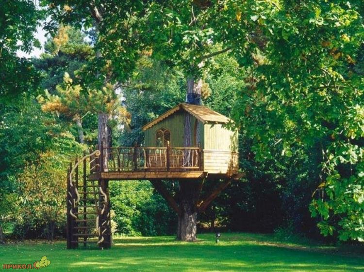 tree-house-11