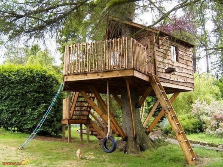 tree-house-12
