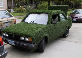 авто в траве
