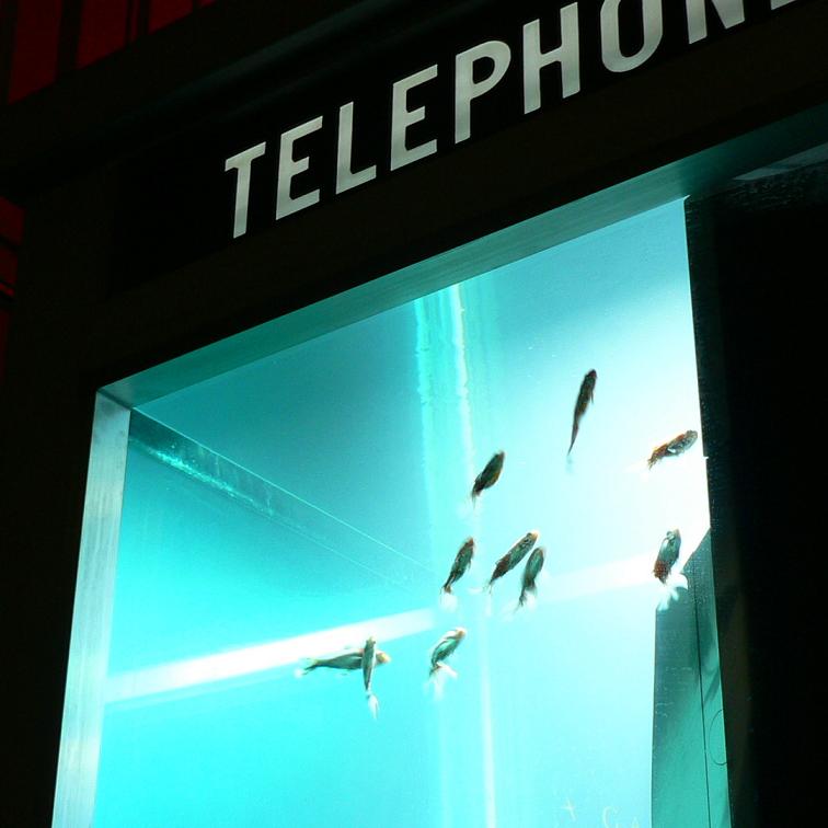 aquarium-phone-08