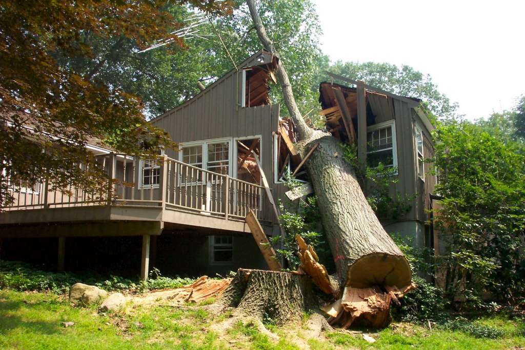 tree-falls-on-house-01