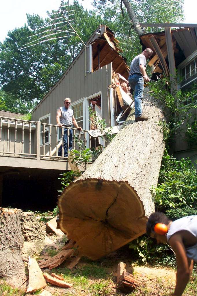 tree-falls-on-house-03