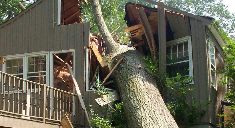 tree-falls-on-house-04