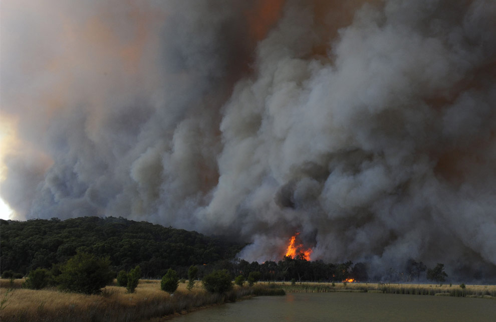 bushfires-in-victoria-australia-02