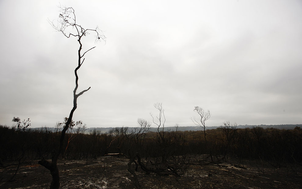 bushfires-in-victoria-australia-04