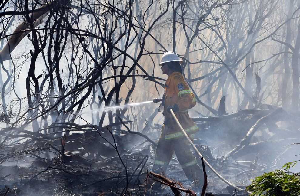 bushfires-in-victoria-australia-05