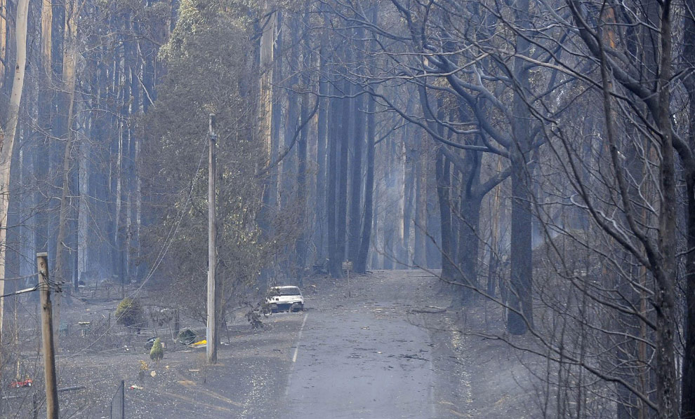bushfires-in-victoria-australia-11