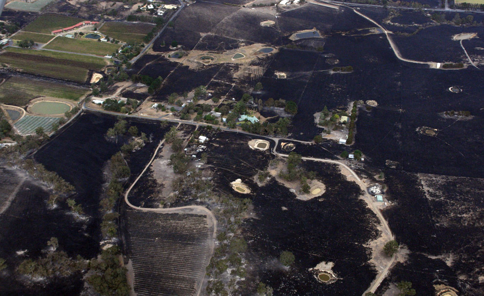 bushfires-in-victoria-australia-14