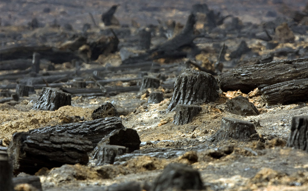 bushfires-in-victoria-australia-20