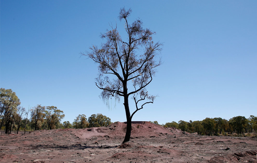 bushfires-in-victoria-australia-28