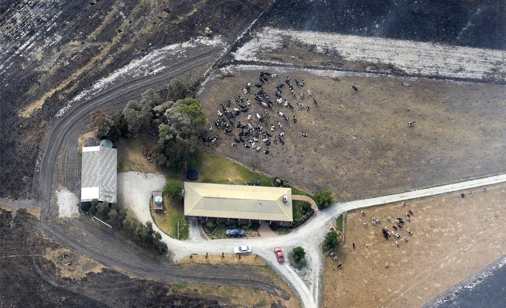 bushfires-in-victoria-australia-32