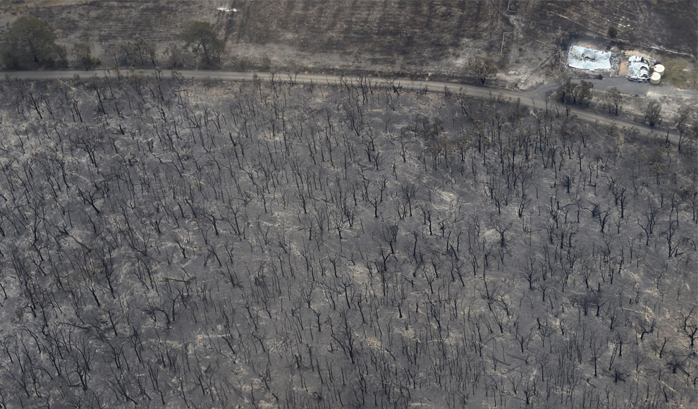 bushfires-in-victoria-australia-34