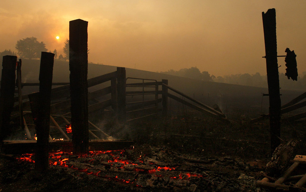 bushfires-in-victoria-australia-36