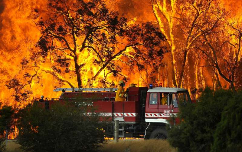 bushfires-in-victoria-australia-37
