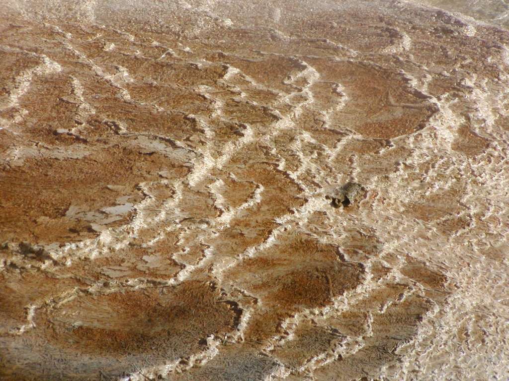 grand-prismatic-spring-16