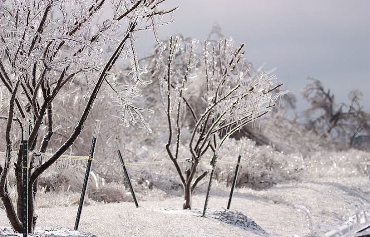 ice-storm-arkansas-03
