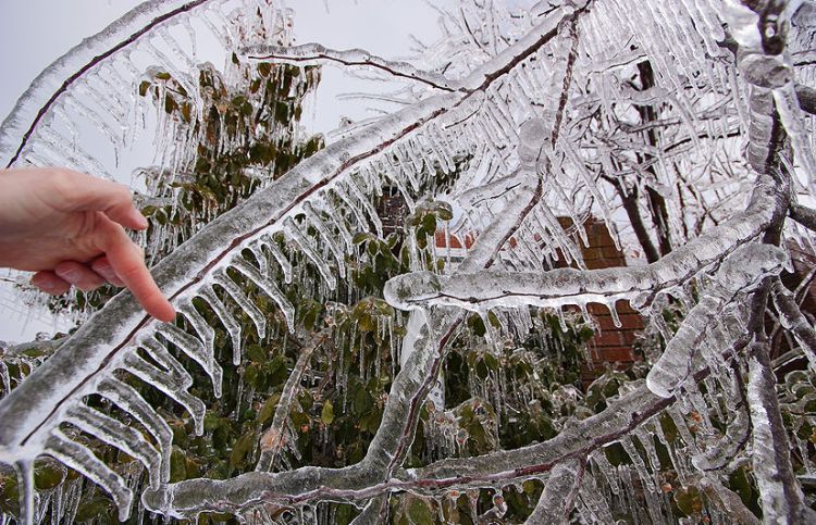 ice-storm-arkansas-04