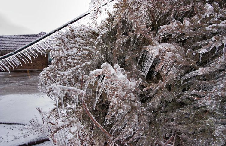 ice-storm-arkansas-05