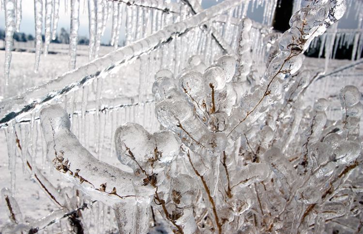 ice-storm-arkansas-07