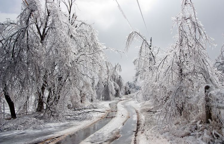 ice-storm-arkansas-43