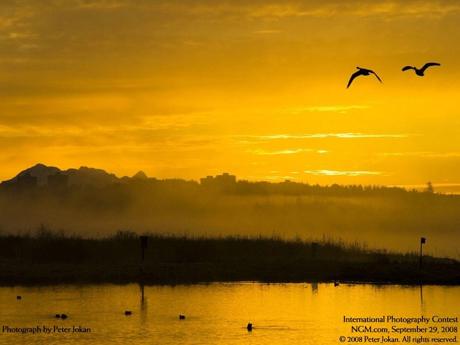 international-photography-contest-06