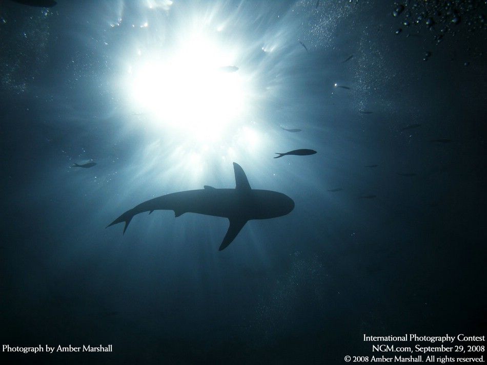 international-photography-contest-08