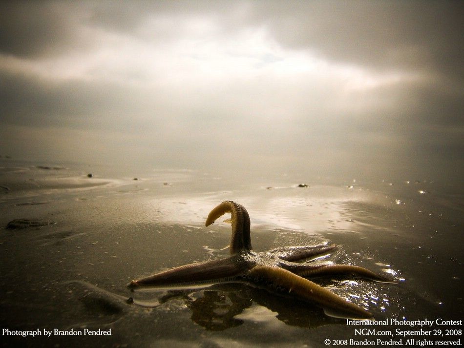 international-photography-contest-11