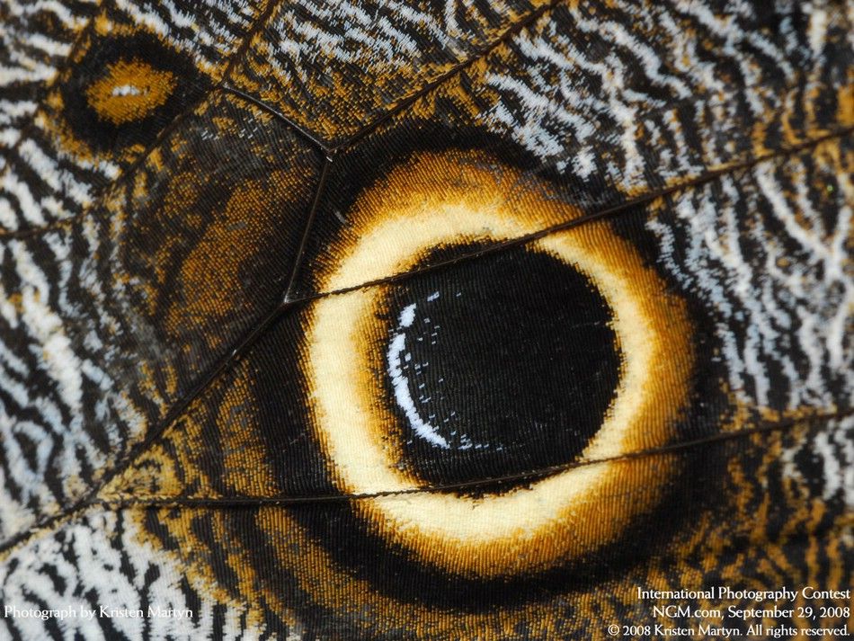 international-photography-contest-16