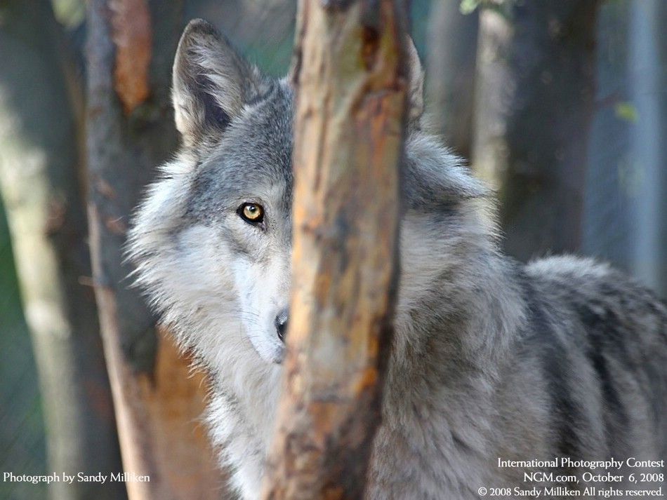 international-photography-contest-19