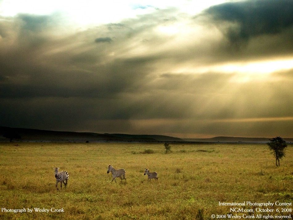 international-photography-contest-20