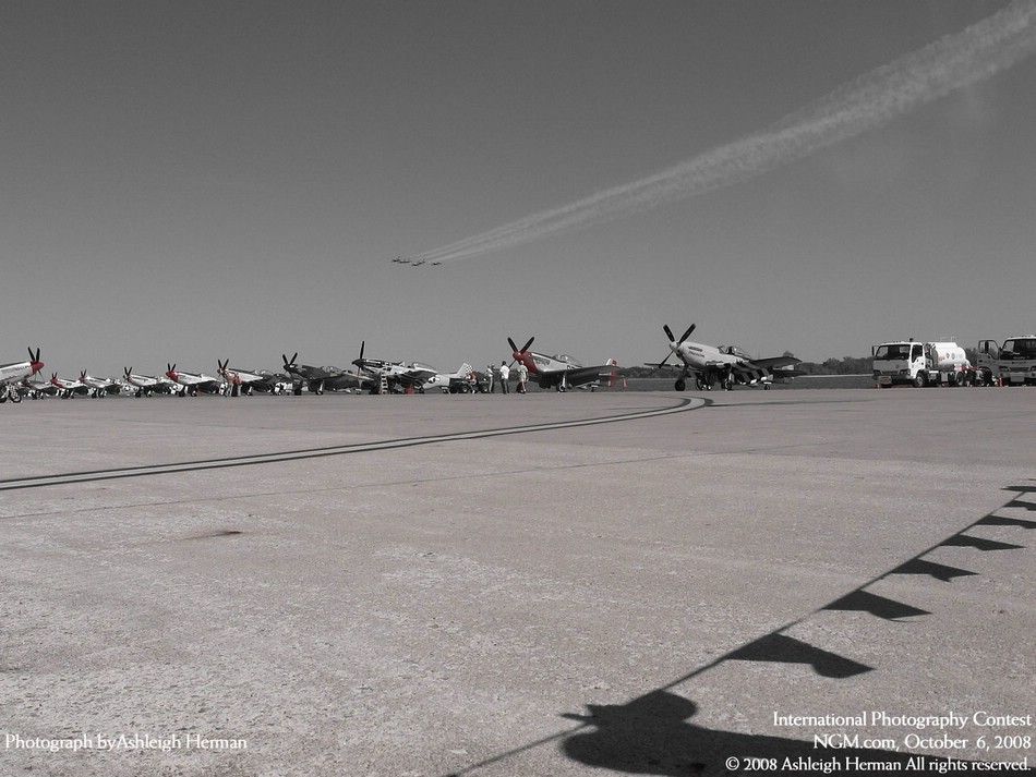 international-photography-contest-26