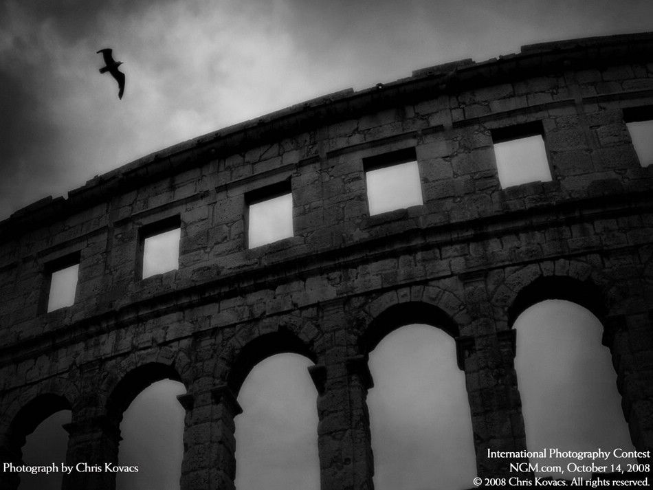 international-photography-contest-34