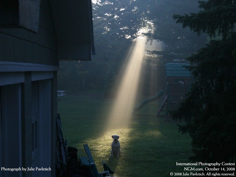 http://www.prikol.ru/wp-content/uploads/2009/02/international-photography-contest-40.jpg