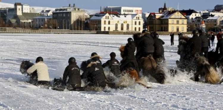 loshadi-provalilis-pod-led-02