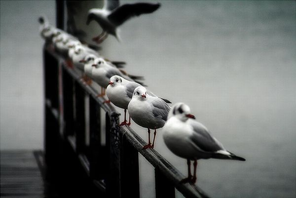 lovi-moment-29