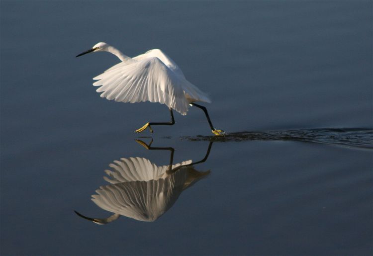 lovi-moment-41
