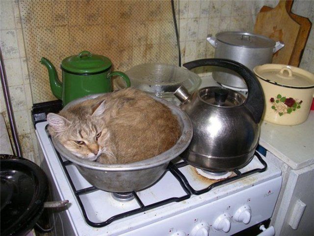 photo-prikol-060209-07