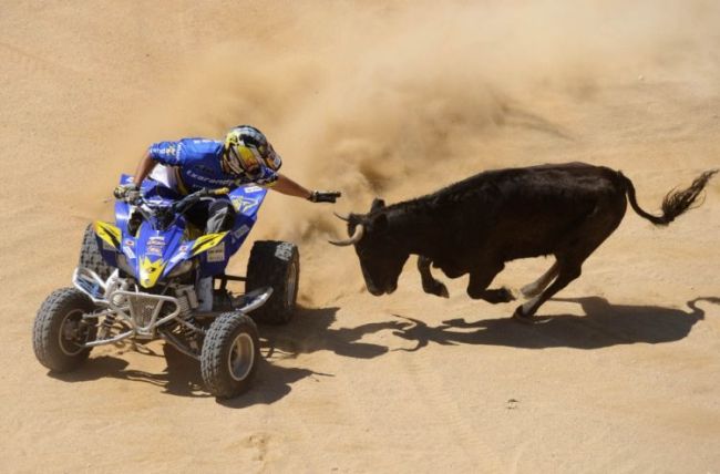 photo-prikol-060209-15