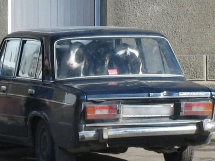 photo-prikol-060209-21