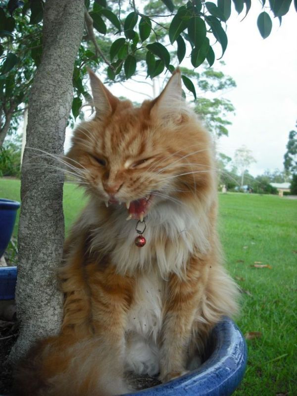 photo-prikol-060209-26