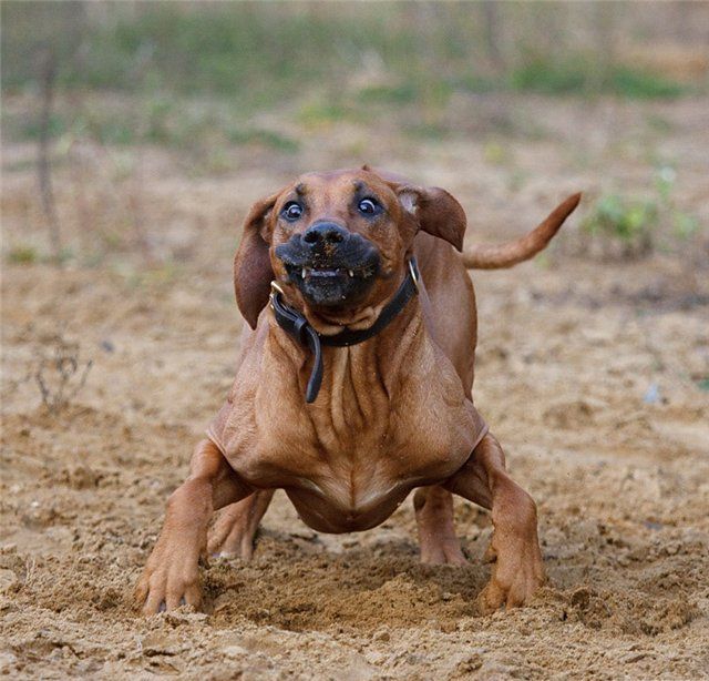 photo-prikol-060209-59