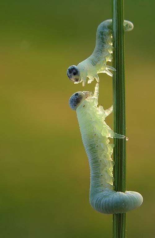 photo-prikol-060209-65