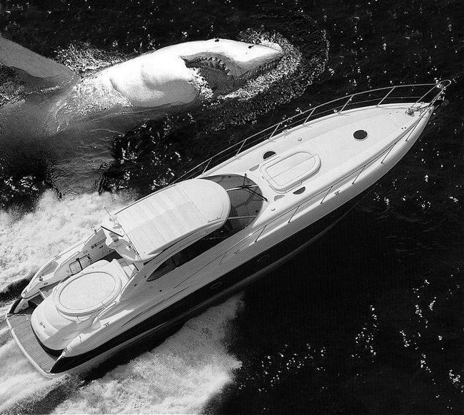 photo-prikol-060209-68